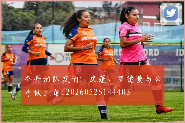乔丹的队友们:皮蓬、罗德曼与公牛铁三角_20260526144403