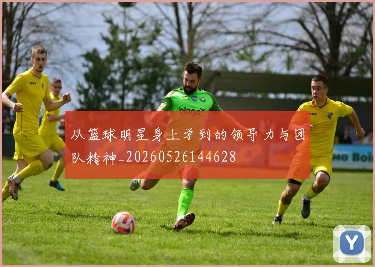 从篮球明星身上学到的领导力与团队精神_20260526144628